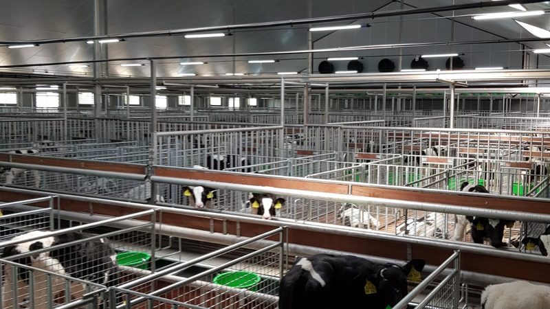 欧洲站与北美站：代运营与选品差异解析